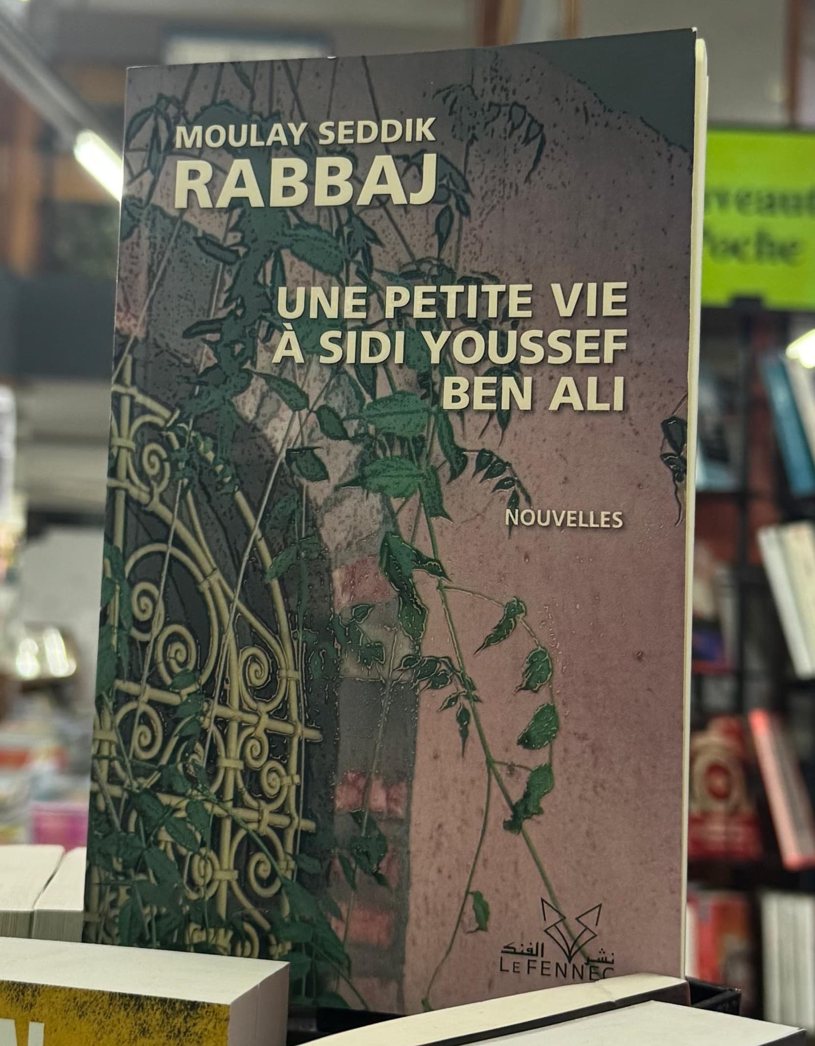 Une petite vie à Sidi Youssef Ben Ali