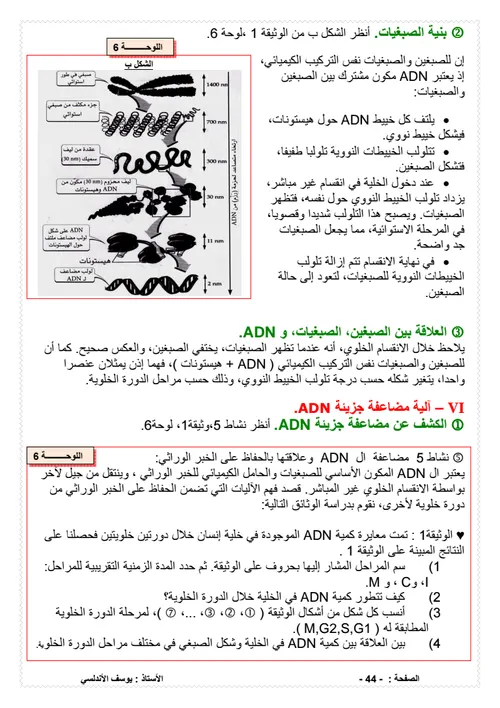 دفتر الوثائق رسوم تخطيطية وصور علوم الحياة والارض السنة 3 اعدادي