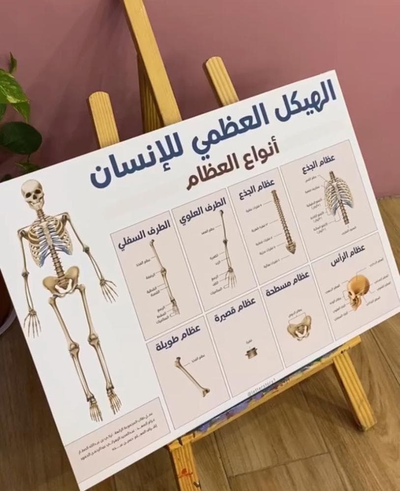 لوحة الهيكل العظمي كبيرة 70*50