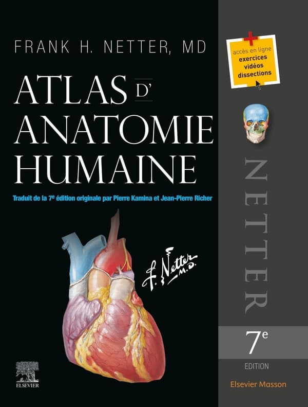 Anatomie humaine