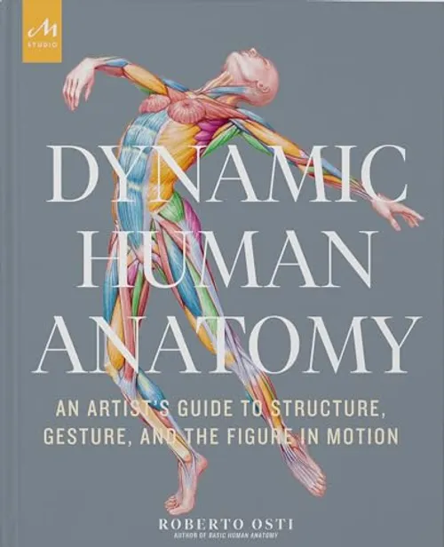 Anatomie V4