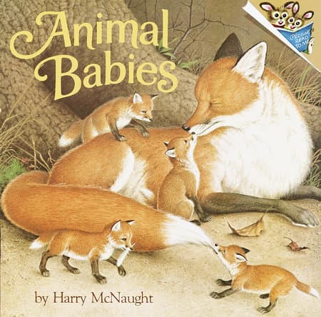 Animal babies