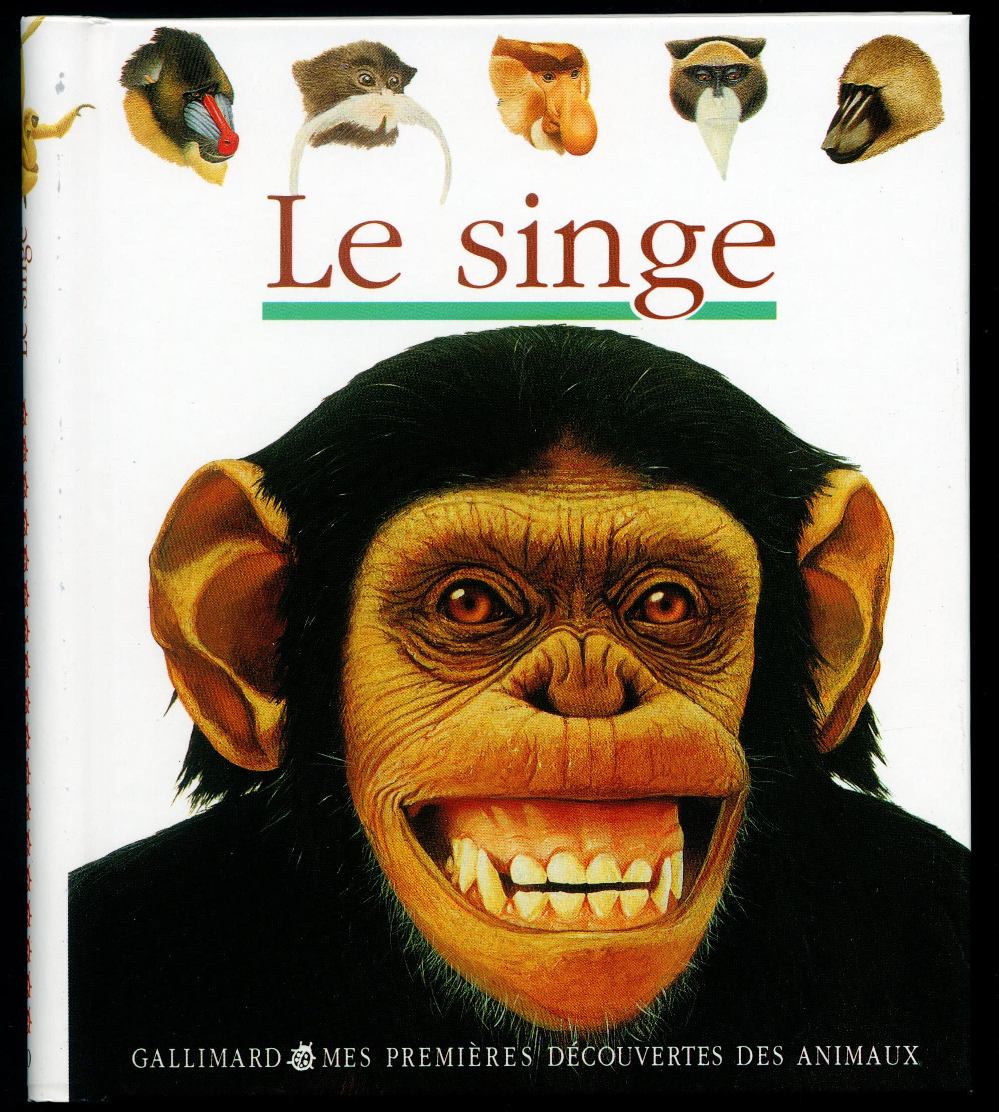 Animaotsu Singe 15 cm
