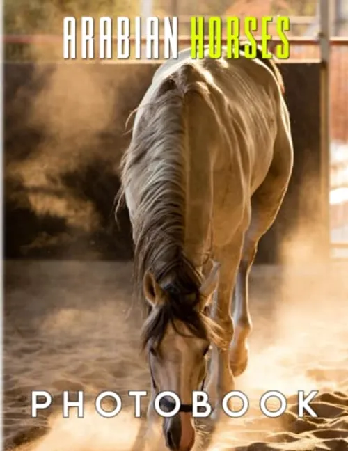 Arabian horse