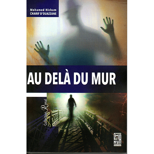 Au dela du mur
