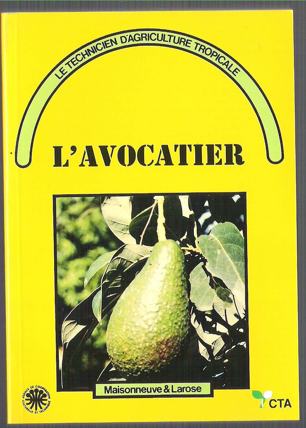 Avocatier