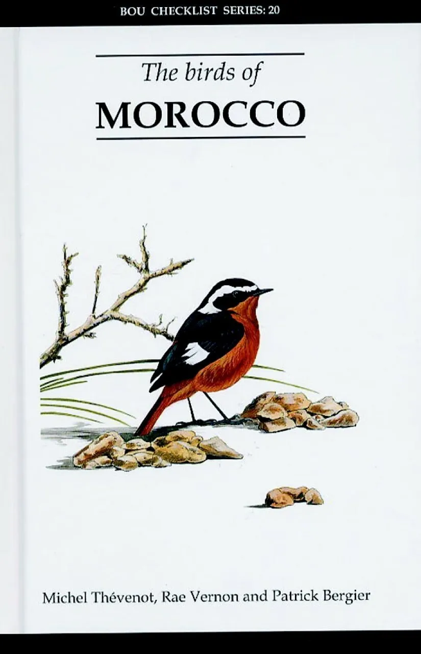 Birds of morocco