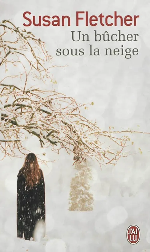 Bûcher sous la neige