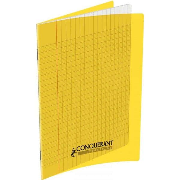 Cahier 48P 17*22 90g