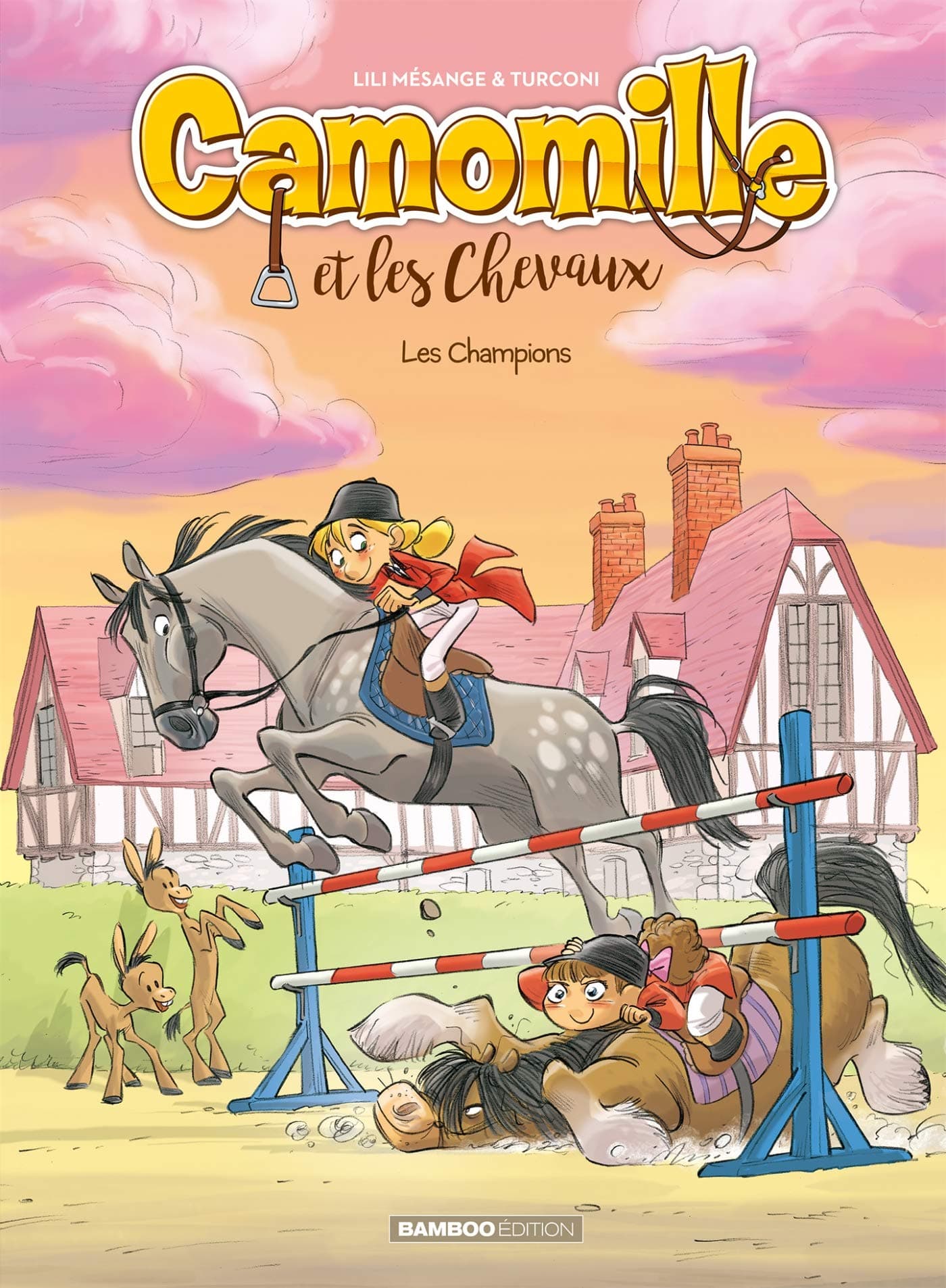 Camomille  T4