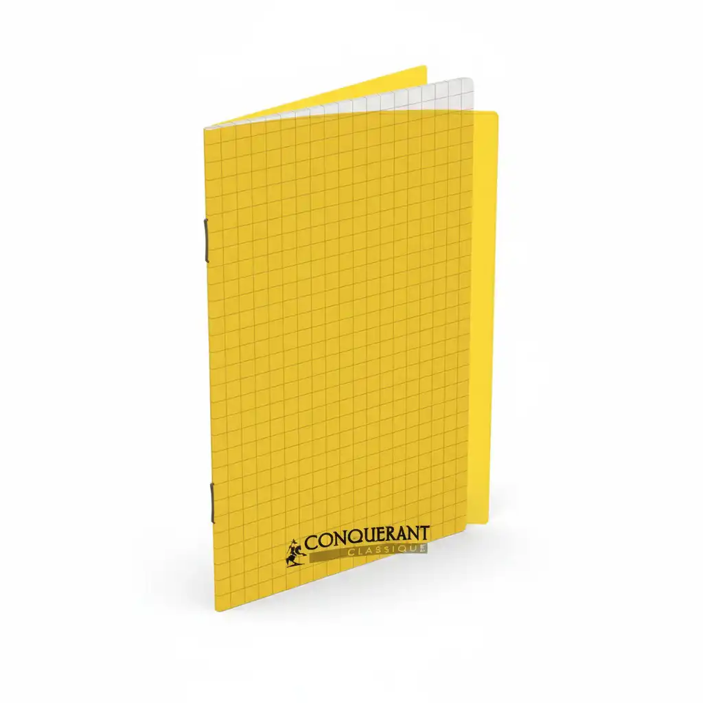 Carnet 11*17 96P 5*5