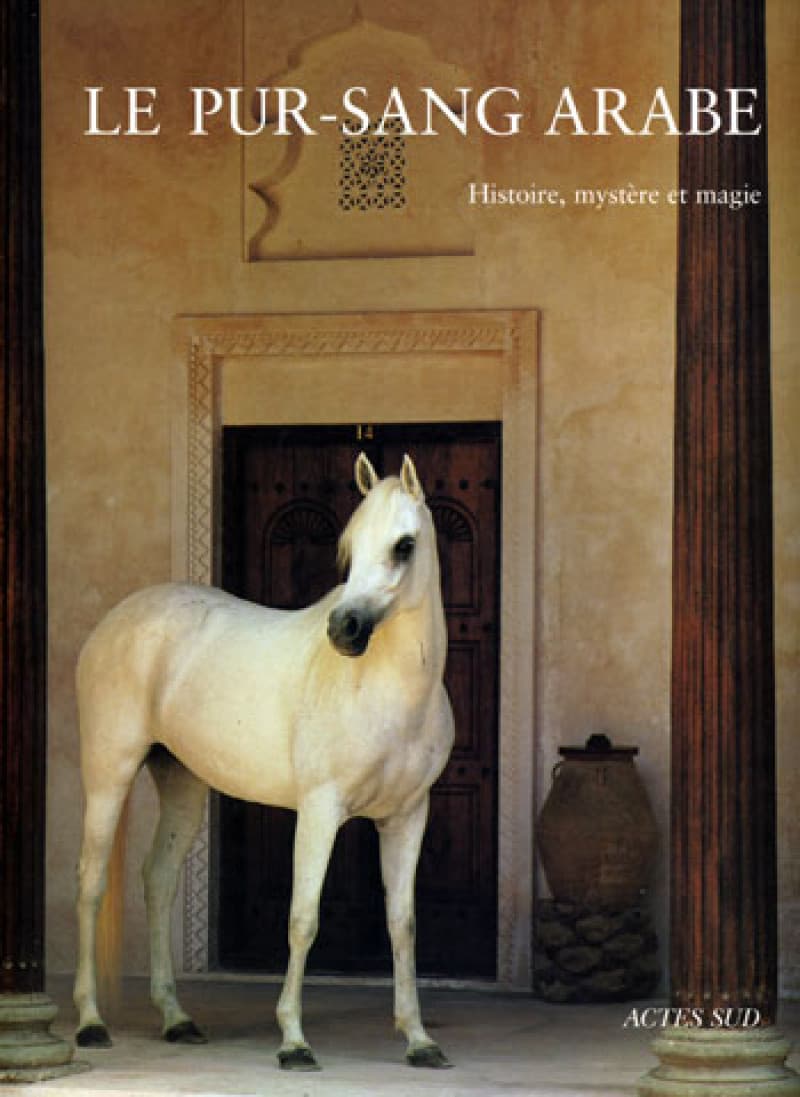 Cheval arabe