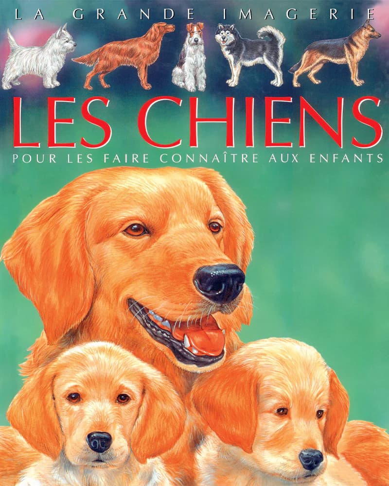 Chien