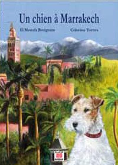 Chien à marrakech