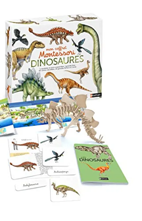 Coffret dinosaurs