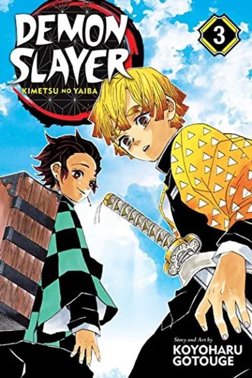 Demon slayer T 13