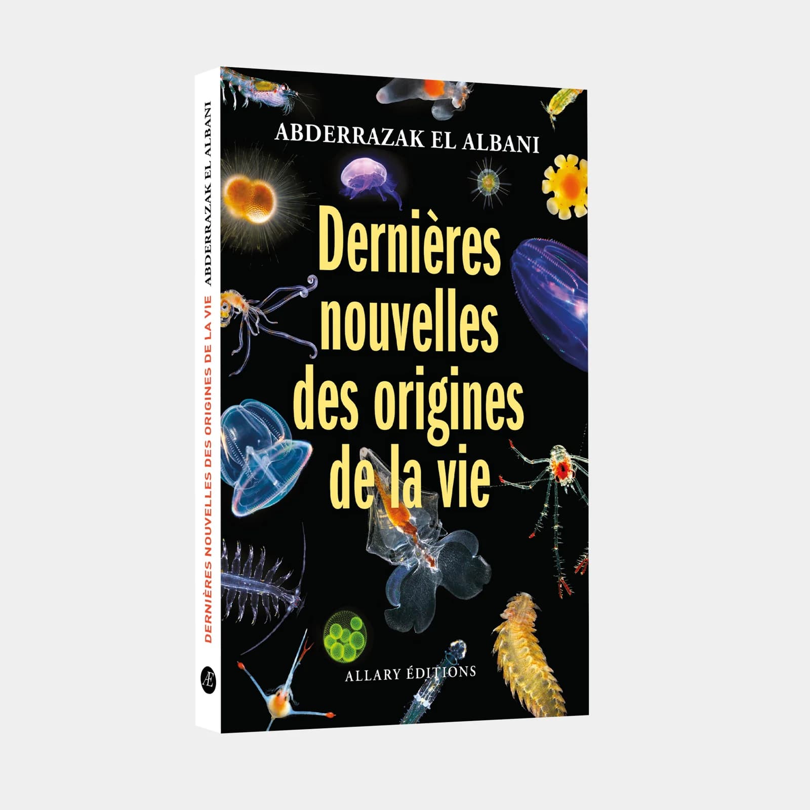 Dernières nouvelles