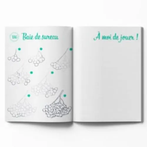 Dessiner pas à pas