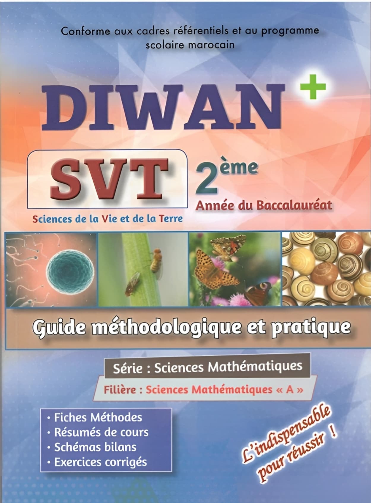 Diwan + SVT 2BAC SM