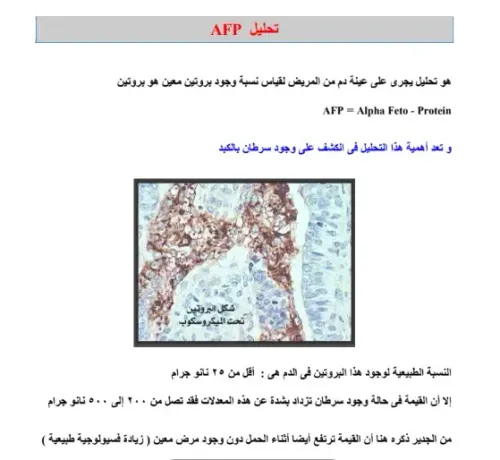 مهارات تحليل البنيات السرديةDP