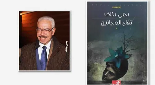 تفاح الظل DP