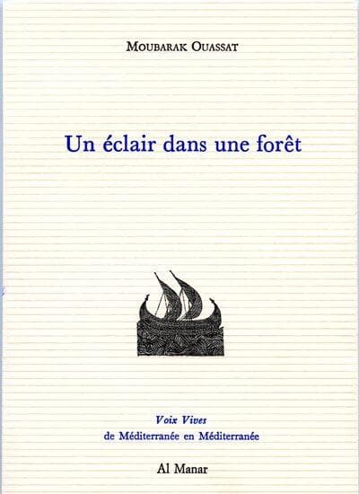 Eclair dans une forêt
