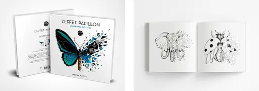 Effet papillon