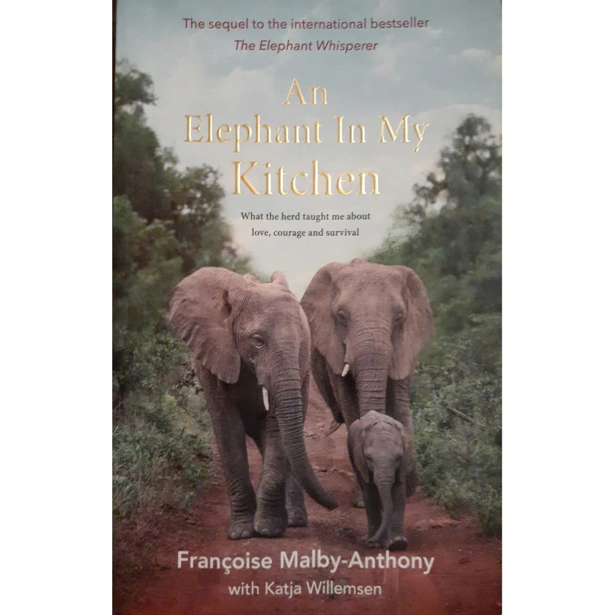 Eléphant malfaisant