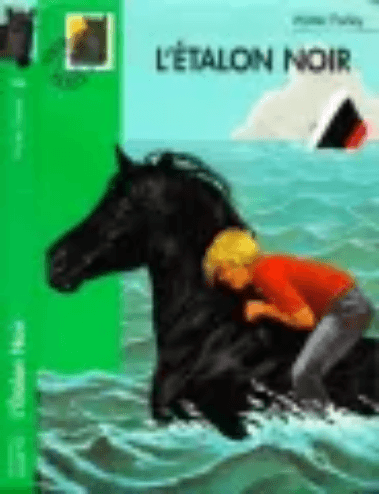 Etalon noir T01