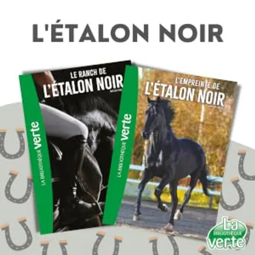 Etalon Noir T03