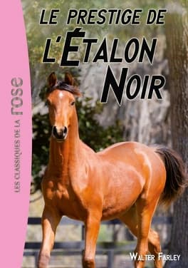 Etalon Noir Tome 10