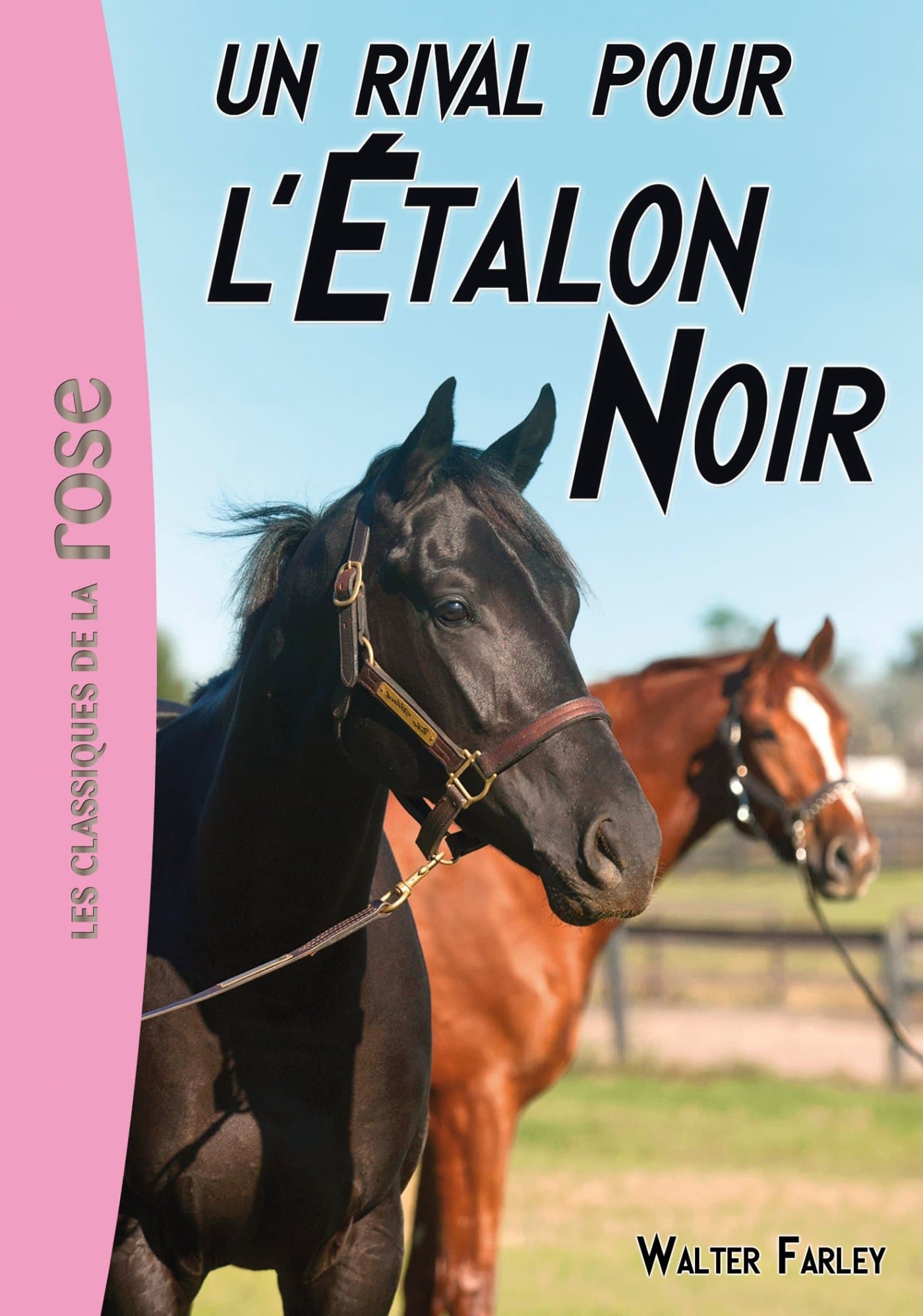 Etalon Noir Tome 14