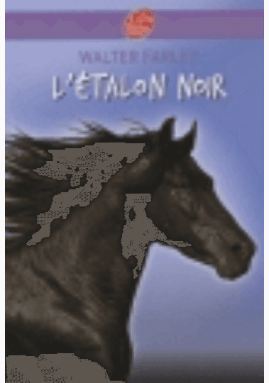 Etalon Noir Tome 8