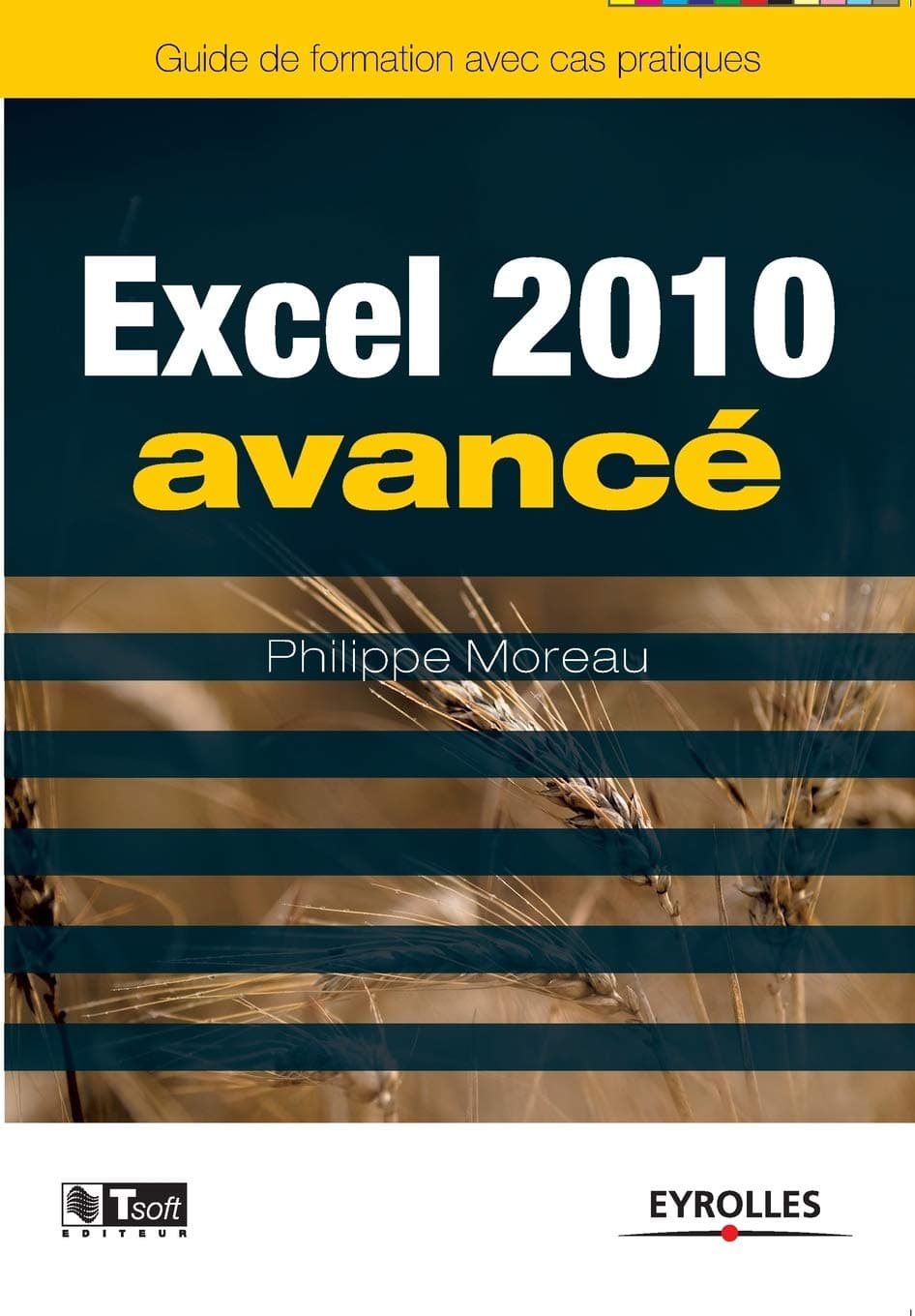 Excel 2010 avancé