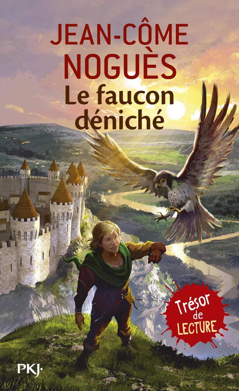 Faucon déniché