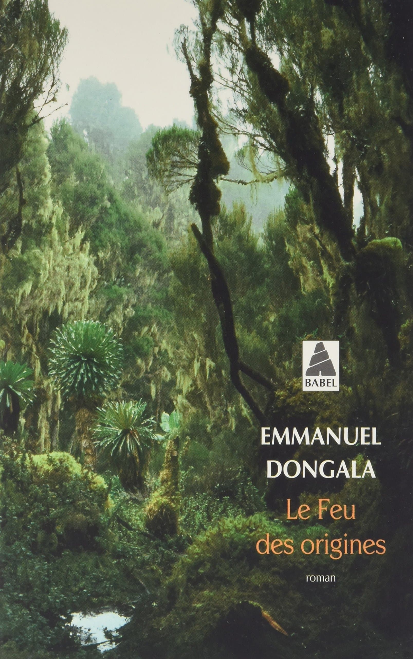 Feu des origines