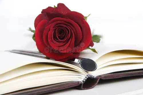 Feutre Triplus Rose
