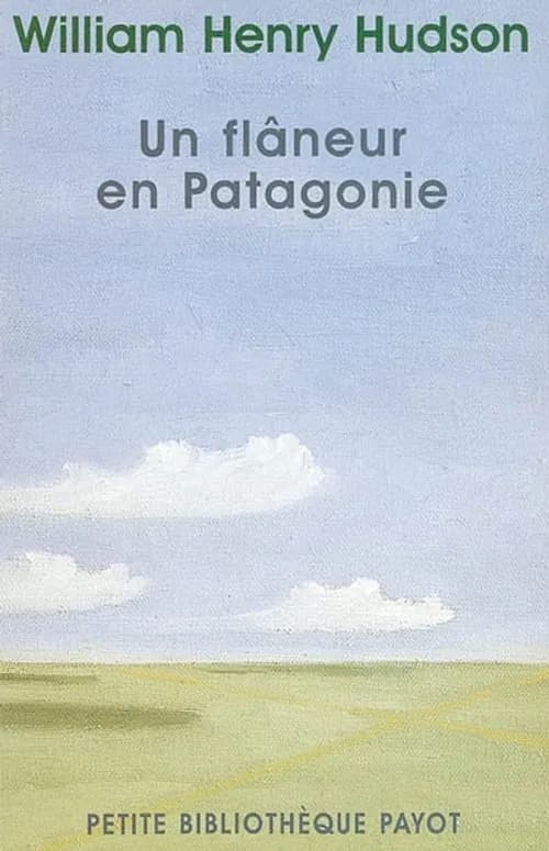 Flaneur en patagonie