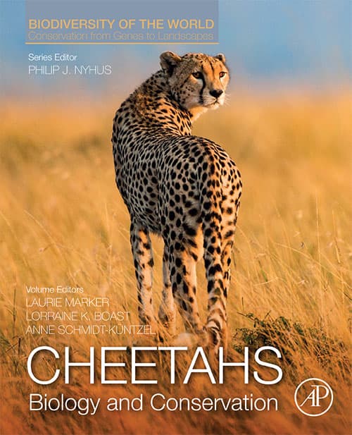 Guépard