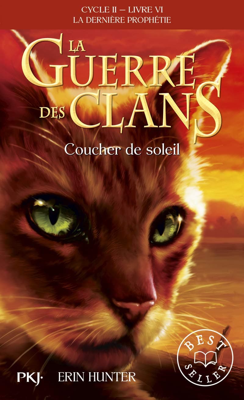 Guerre des clans T06