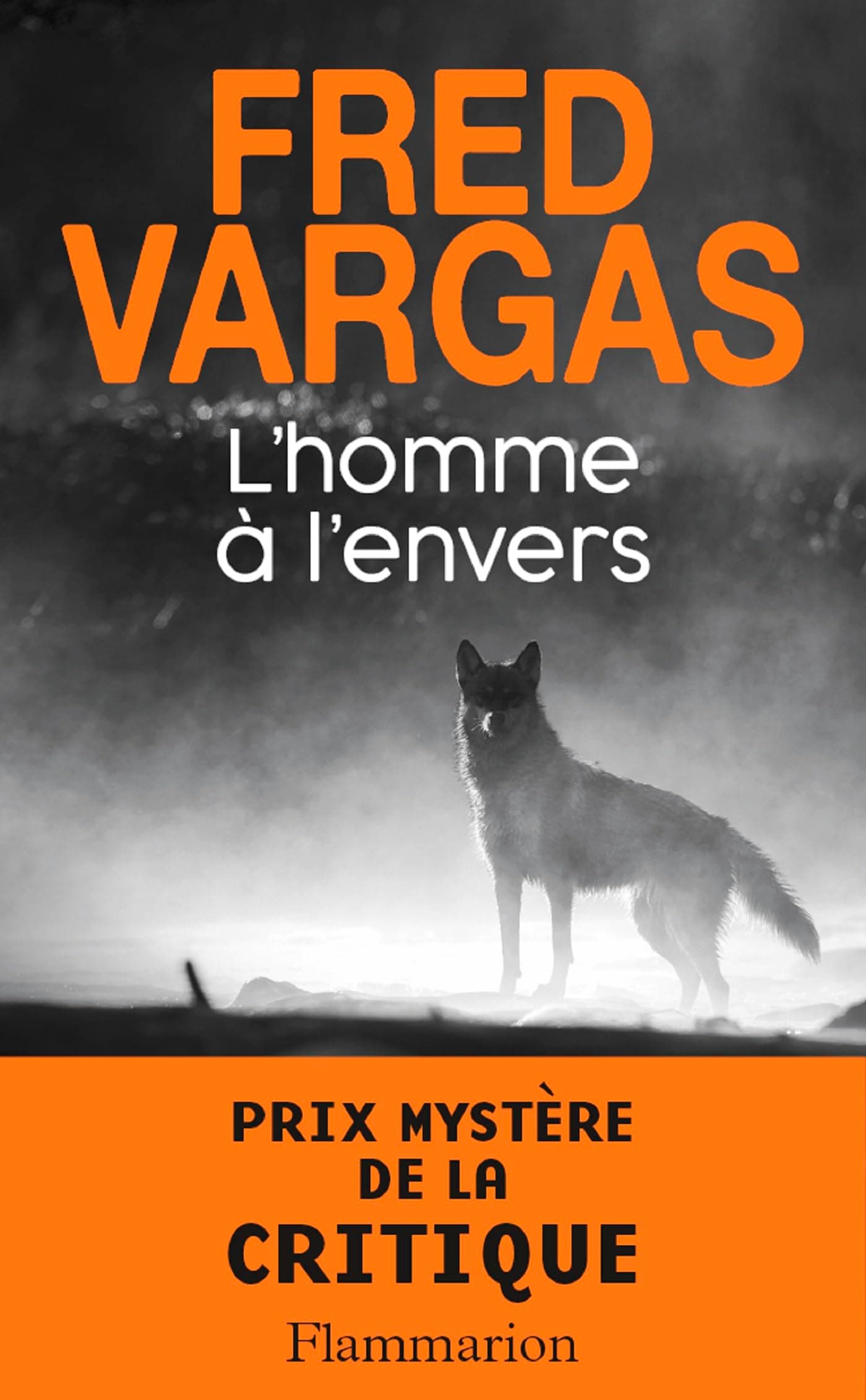 Homme à l'envers