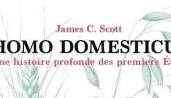 Homo Domesticus
