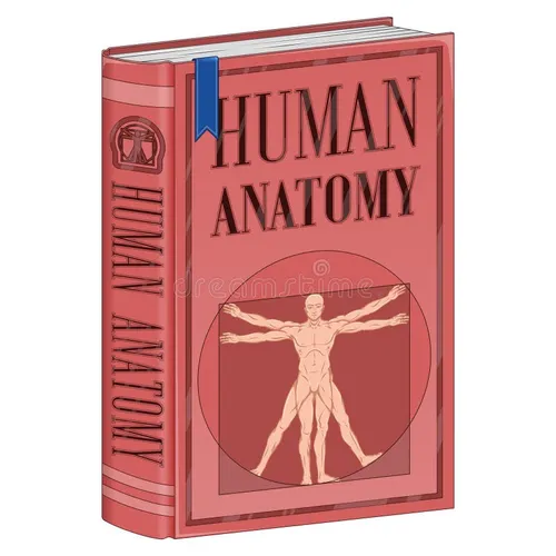 Human body