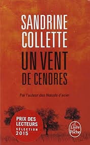 Il reste la poussière