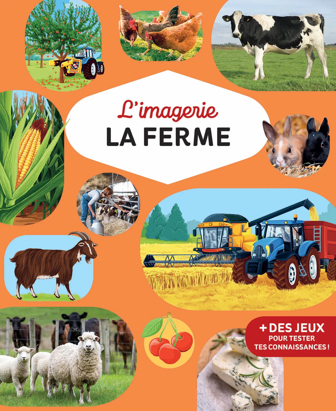 Imagerie de la ferme