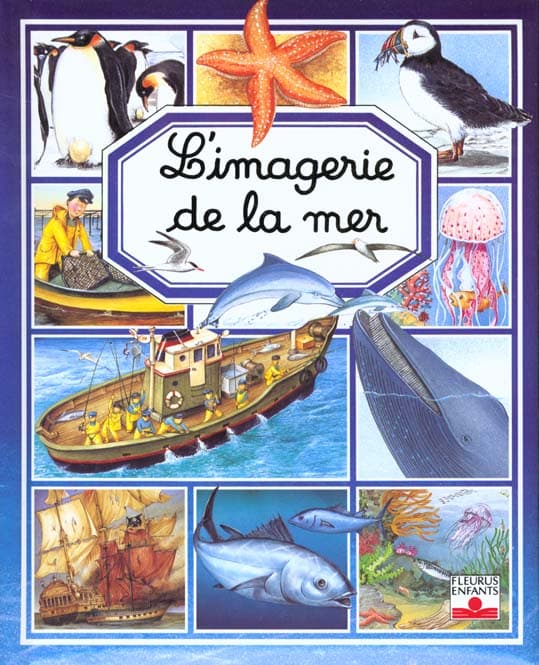 Imagerie de la mer