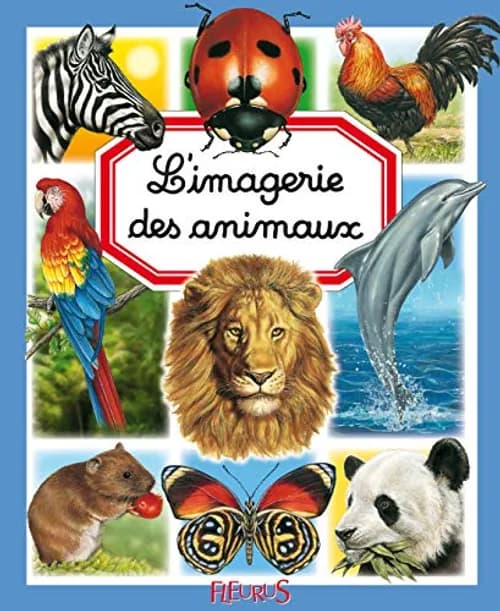 Imagerie des animaux