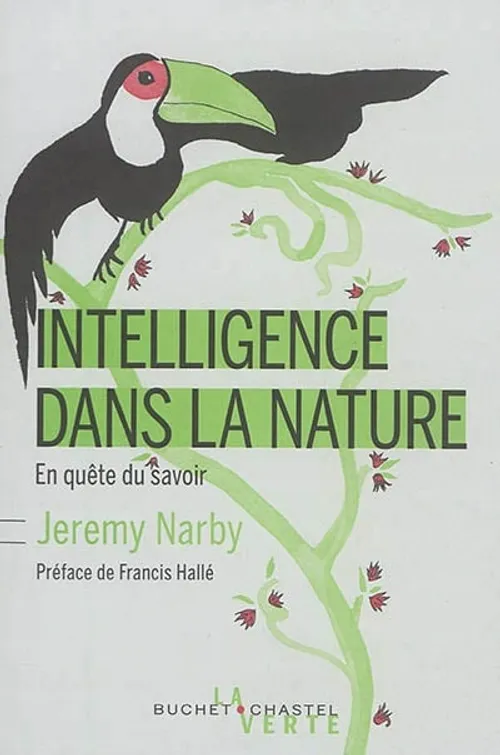 Intelligence du rêve