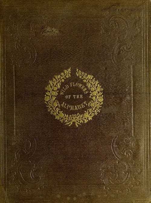 المعركة الاخيرة