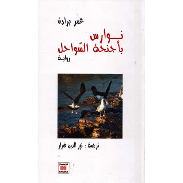 محاسني والقبة /رواية
